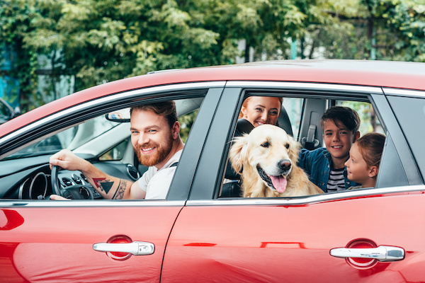 How To Keep Your Car Clean with Pets and Children